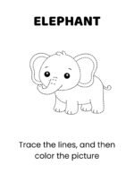 Trace & Color for Toddlers Ages 2–4 - Image 4